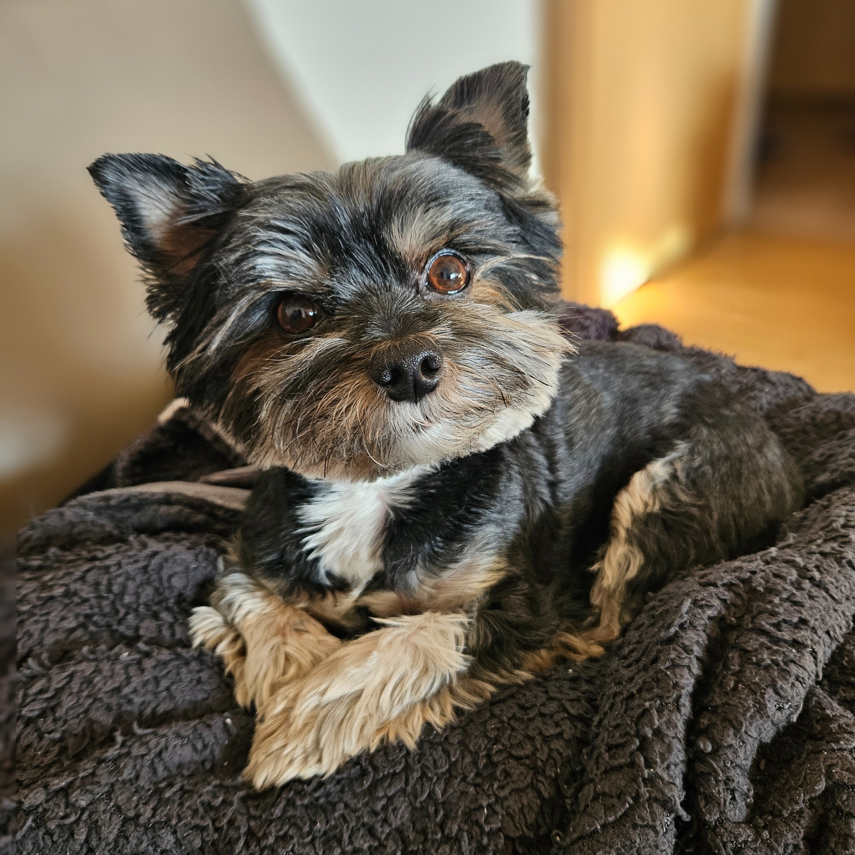 paníček Nikola V. 🐕 Jack Sparrow