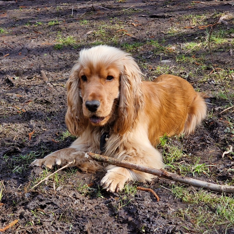 paníček Marek & Bára N. 🐕 Matěj