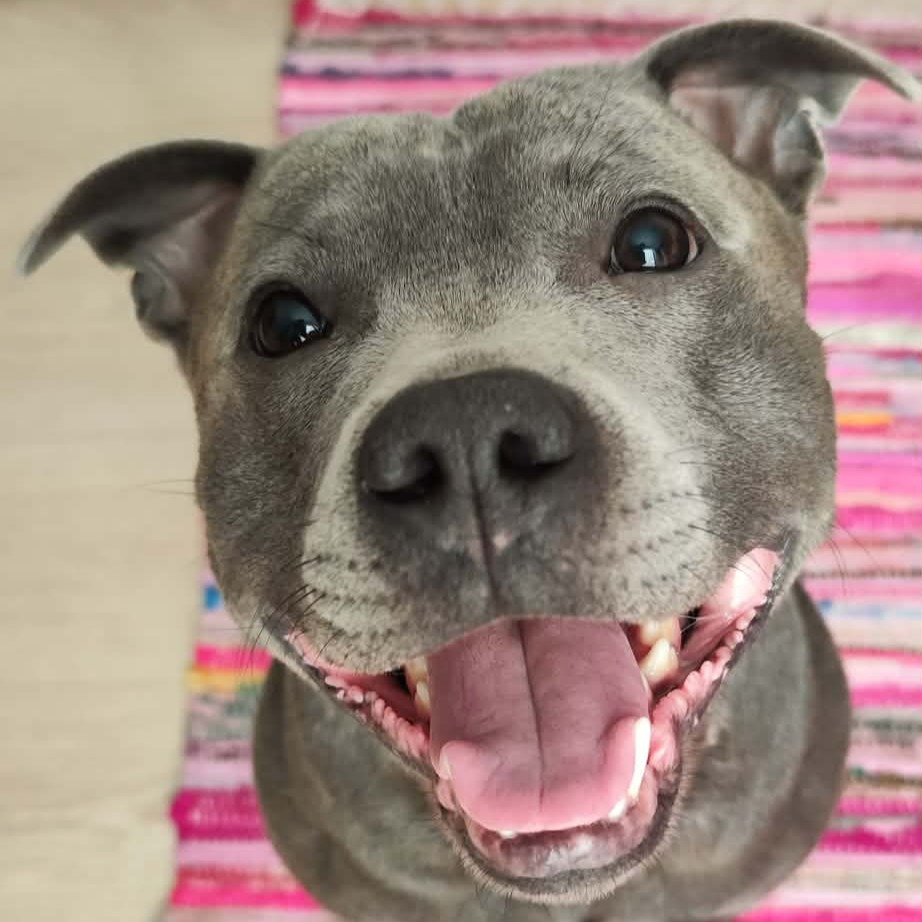 paníček Jaroslav M. 🐕 Ragnar